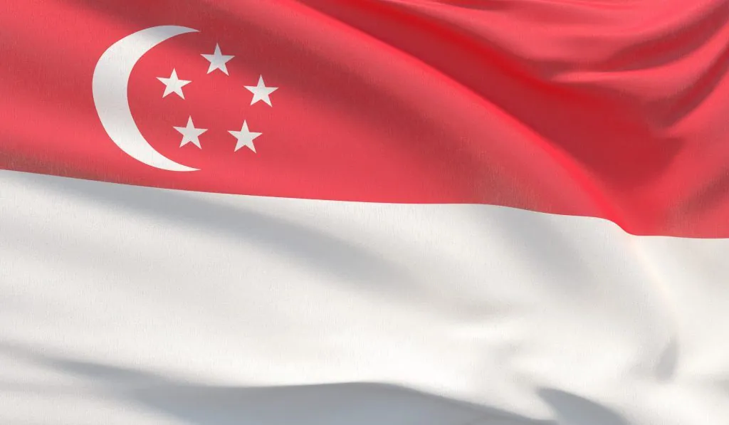 Singapur'da Şirket Kurmak